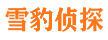 朔城市侦探调查公司